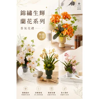 【HUGO DECO 榆果傢飾】錦繡生輝系列粉石斛蘭香氛花禮(入厝禮/開幕/喬遷/送禮/榮昇)