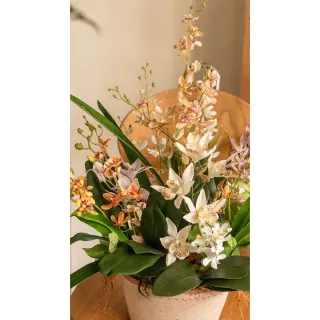 【Hutte】Orchid Garden Gift Box 擬真蘭園禮盆 (Bergspotter Helena)
