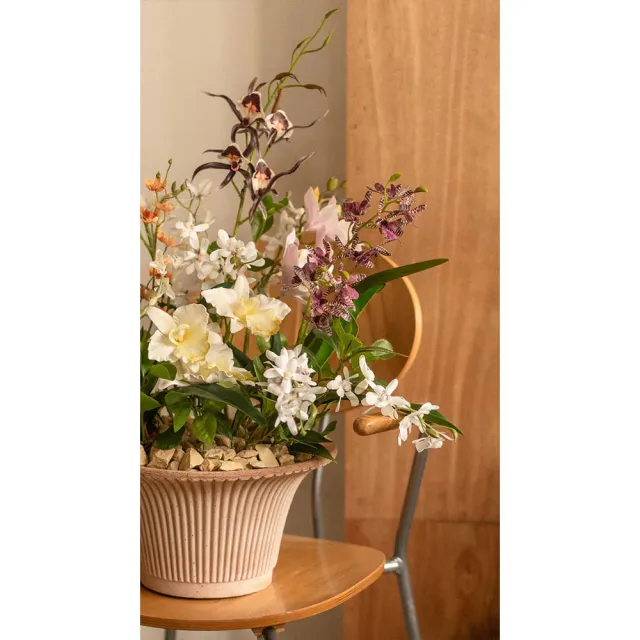 【Hutte】Orchid Garden Gift Box 擬真蘭園禮盆 (Bergspotter Daisy)