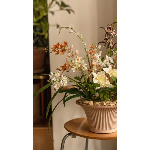 【Hutte】Orchid Garden Gift Box 擬真蘭園禮盆 (Bergspotter Daisy)