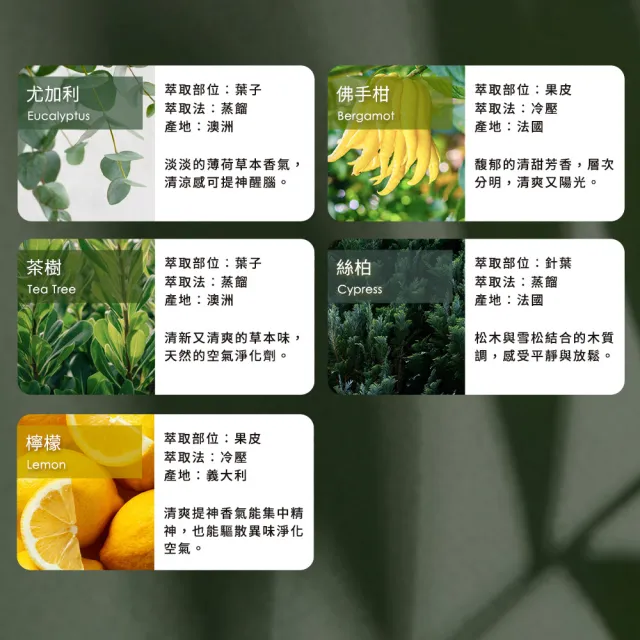 【mo select】100%植物精油果香/草本/花木調10ml(mo選/多款任選/精油/香氛精油/水氧機精油)