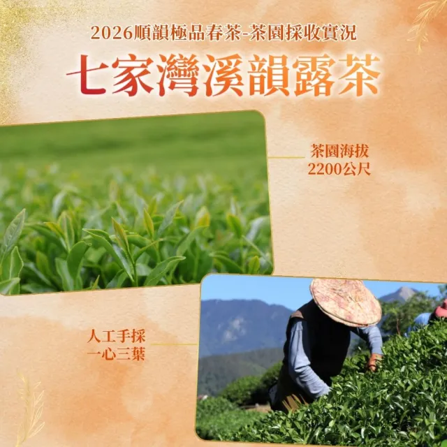 【順韻茶葉】七家灣溪韻露茶一斤組75g x 8包(共1斤)