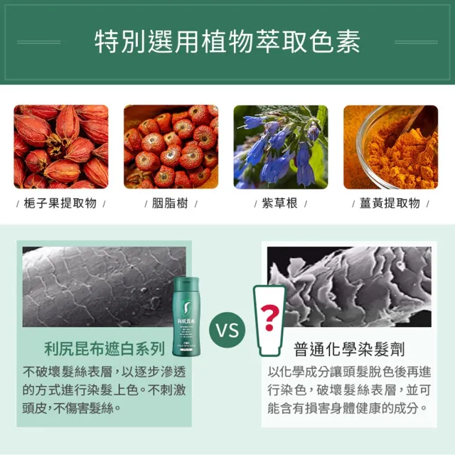 【台隆手創館】Sastty利尻昆布白髮用修復染髮劑200g(黑色/深棕色/淺棕色)
