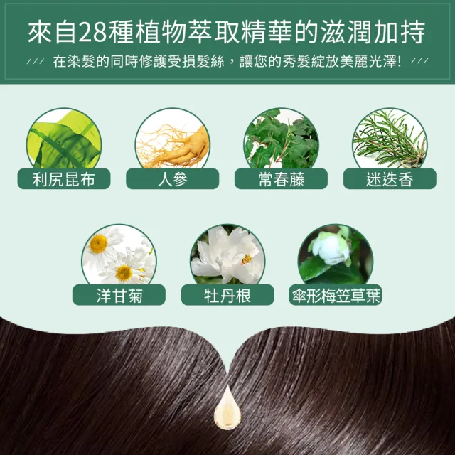 【台隆手創館】Sastty利尻昆布白髮用修復染髮劑200g(黑色/深棕色/淺棕色)