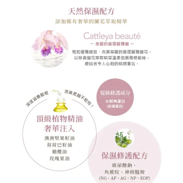 【LAWRENCE 柔綸絲】香冰頭皮舒活角質蜜180g-任選(專櫃公司貨)