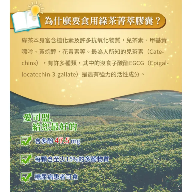 【Esmond Natural 愛司盟】綠茶菁萃膠囊食品6瓶 (120顆/瓶)