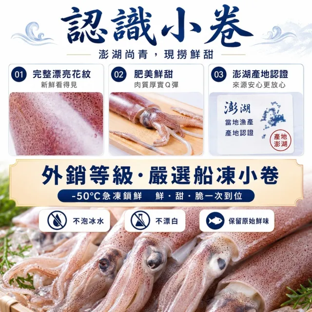 【老張鮮物】澎湖直送野生鮮活小卷 共42-48尾(300g±10%/包  每包約7-8隻)