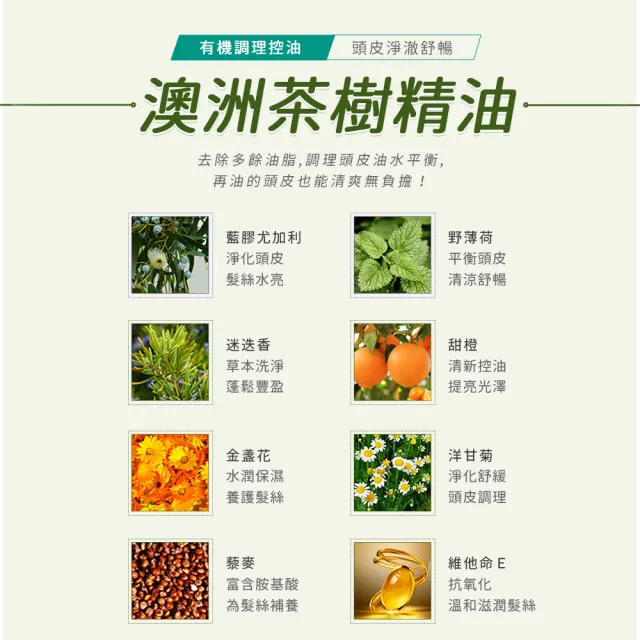 【AVALON ORGANICS】茶樹頭皮調理精油洗髮精946ml/32oz