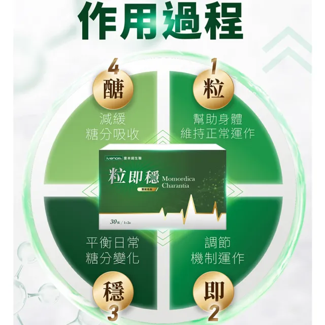 【iVENOR】專利雙胍胜黑苦瓜粒即穩6盒(調節血糖 促進代謝)