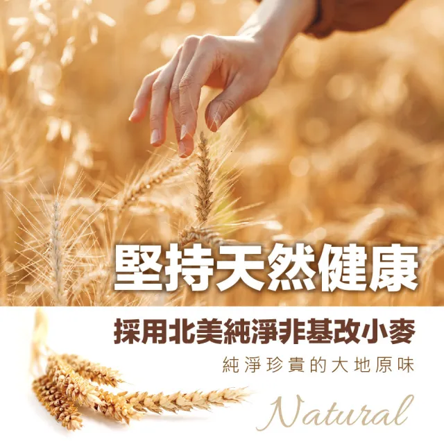 【慢悠仙】黃金多穀蕎麥刀削麵300gX12包/箱 小包裝 麵條(台南名產/關廟養生麵/拌麵/全素/零農藥非基改)
