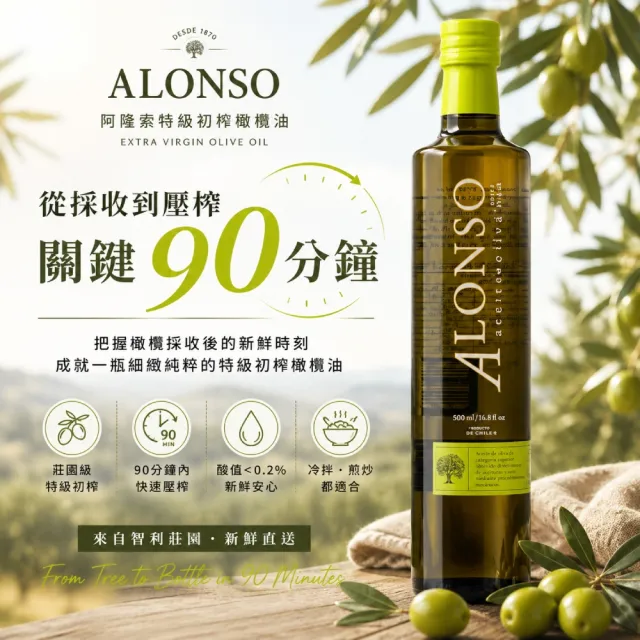 【Alonso】特級初榨橄欖油 500mlx3瓶(酸值低於0.2%是稀有珍貴的橄欖油)雙11