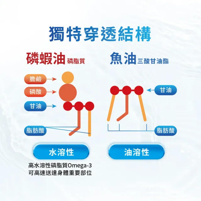 NYO3 南極純磷蝦油 60顆/罐 2入組