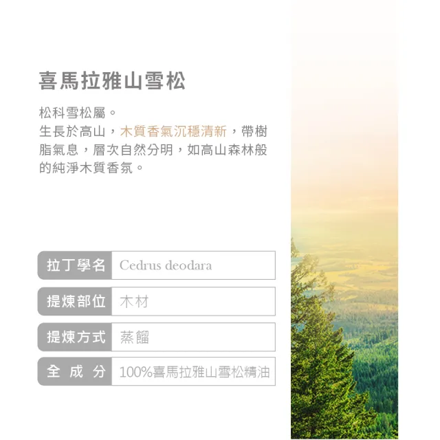 【ANDZEN】安得仁 澳洲單方純精油 檸檬香茅/檸檬草100ml+喜馬拉雅山雪松100ml+迷迭香30ml(草本清新)