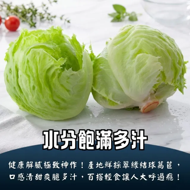 【鮮菓大王】進口特A級美生菜*5顆 特大 (300g-600g±10%/顆) 冷鏈直送 蔬食生活 新鮮進口