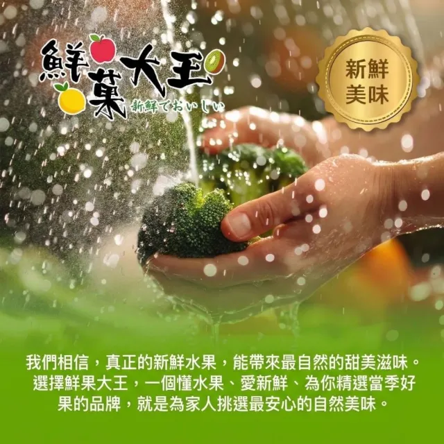 【鮮菓大王】進口特A級美生菜*5顆 特大 (300g-600g±10%/顆) 冷鏈直送 蔬食生活 新鮮進口