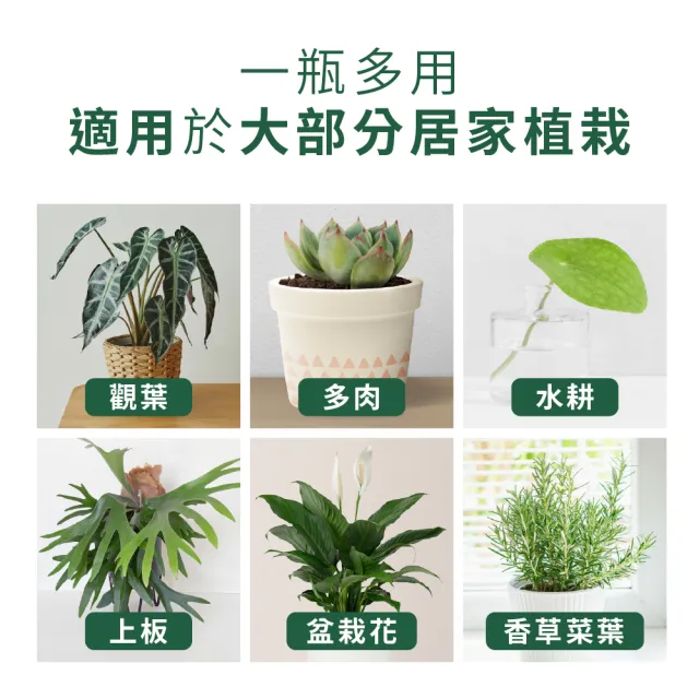 【1%植物關鍵】1%植物營養精華60mlx3(觀葉植物肥料 室內盆栽液肥 多肉植物養分 居家植栽營養劑 營養液)