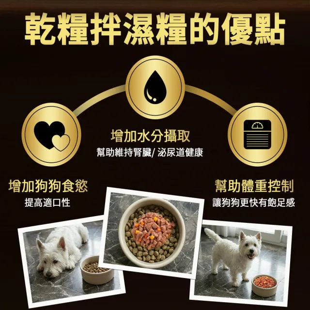 【Cesar 西莎】mopro限定 蒸鮮包 70g*64入 寵物/狗罐頭/狗食/餐包(任選)