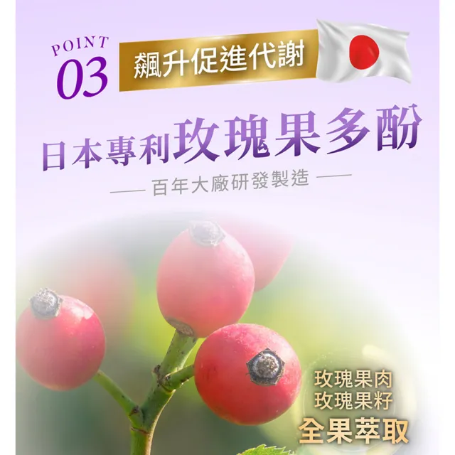 【iVENOR】專利玫瑰果多酚 紫孅果x3盒(30粒/盒 )