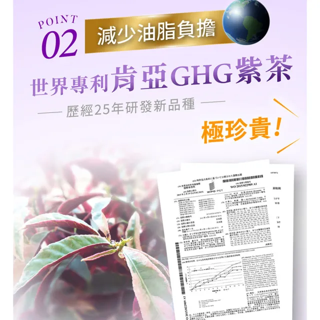 【iVENOR】專利玫瑰果多酚 紫孅果x6盒(30粒/盒 紫茶 白皮衫醇 抑制囤積)