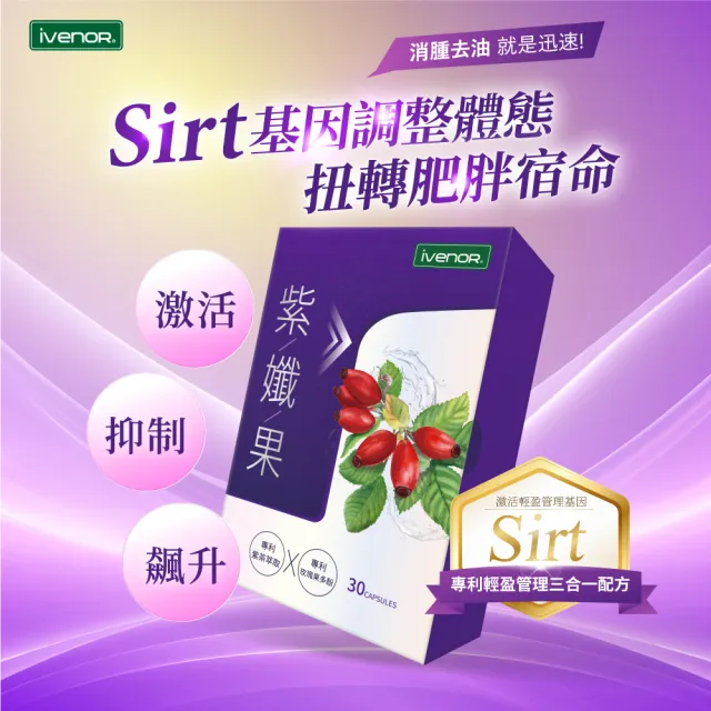 【iVENOR】專利玫瑰果多酚 紫孅果x8盒(紫茶 白皮衫醇 抑制囤積)