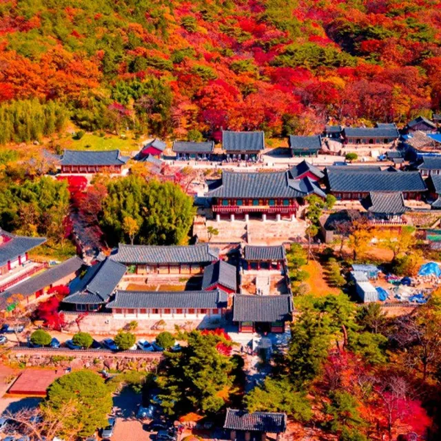 韓國釜山四日|賞楓買一送一雙人券★加耶公園、塗鴉秀、金井山城、賞楓纜車、海岸列車、金剛公園