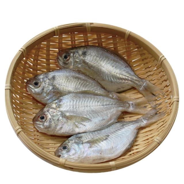 【小川漁屋】野生肉魚4包(600g±10%/包/6-8尾)