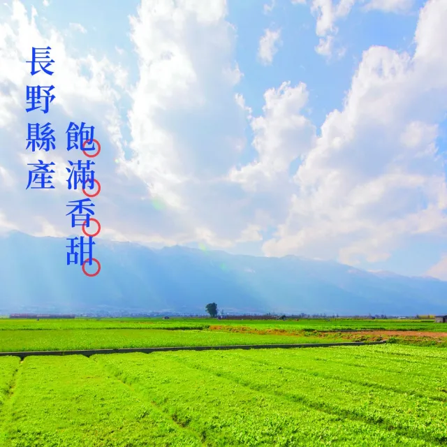 【中興米】日本一番米2kg 中元拜拜普渡(日本長野縣產地直送日本米)