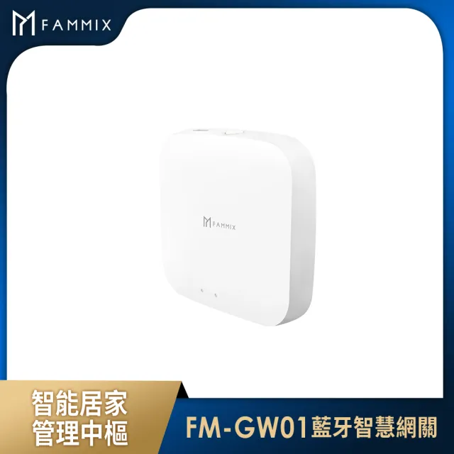 【FAMMIX菲米斯】智慧網關組★四合一智慧指紋室內電子鎖SAFER-E3
