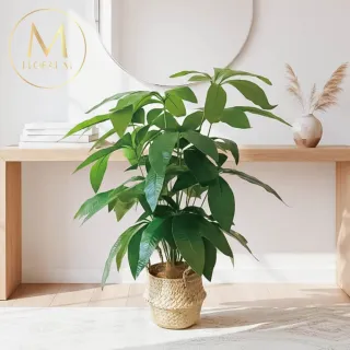 【Floral M】財源滾滾發財樹70cm仿真植栽(贈編織籃)(人造植栽/仿真樹/室內佈置/居家裝飾/桌上型植栽)