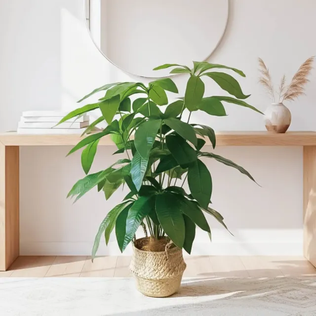 【Floral M】財源滾滾發財樹70cm仿真植栽(贈編織籃)(人造植栽/仿真樹/室內佈置/居家裝飾/桌上型植栽)