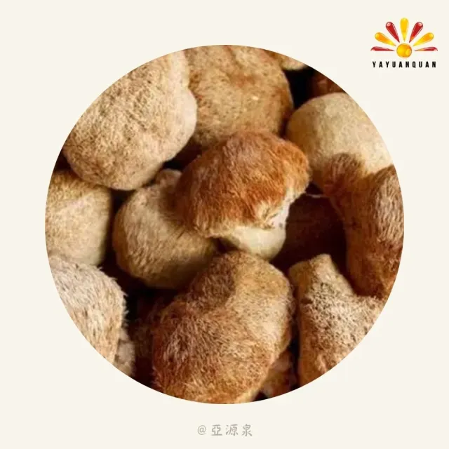 亞柏林 猴頭菇 80g/包 10包組(贈亞源泉系列商品1包)
