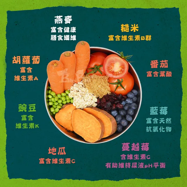 【Benevo 倍樂福】英國素食認證 犬貓主食罐頭 354G*12罐(素食狗罐 素食貓罐 純素 班尼佛)