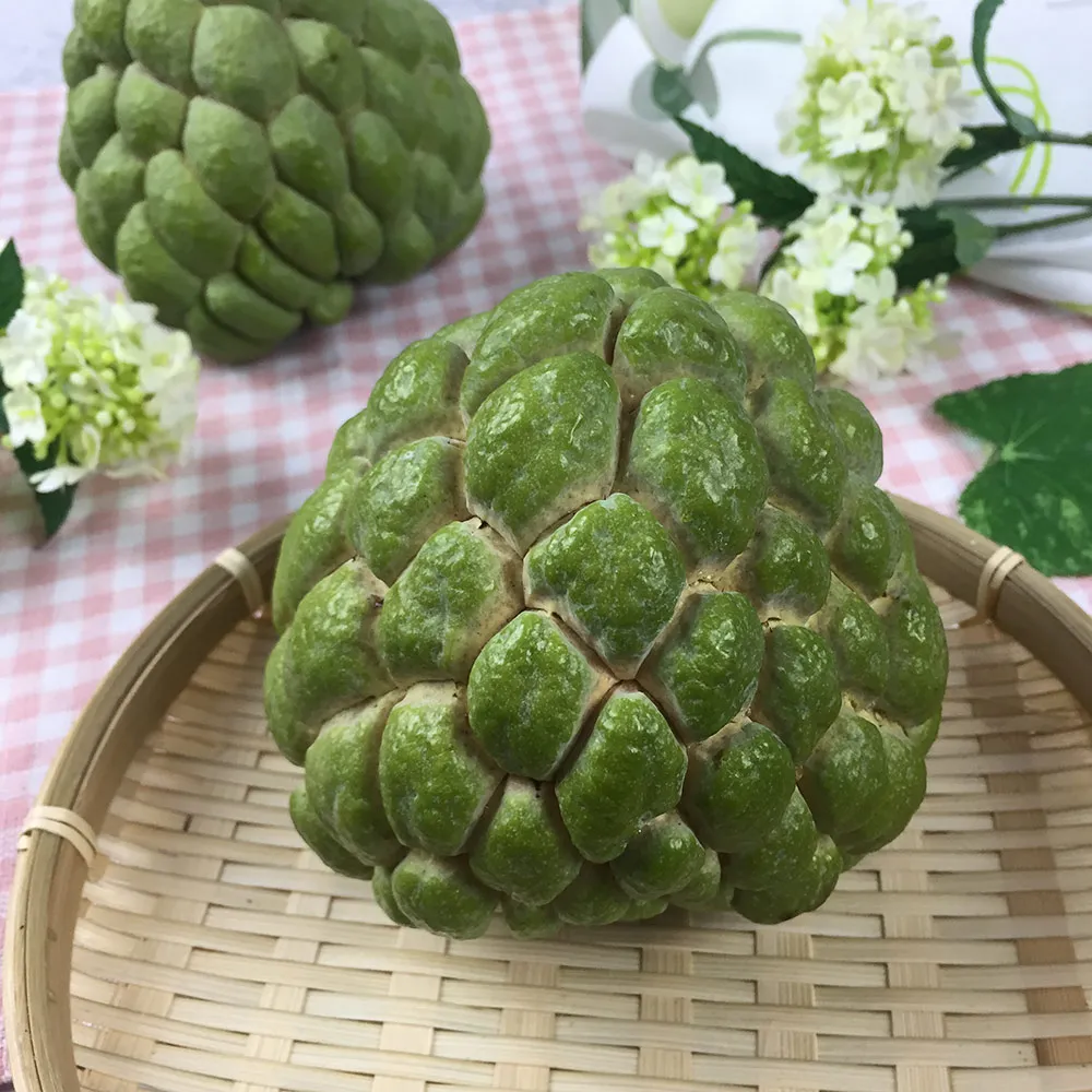【初品果】台東知本大目釋迦禮盒含箱5斤6-7顆x1盒(送禮/禮盒/水果禮盒)