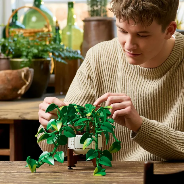 【LEGO 樂高】Botanicals 11512 垂掛黃金葛(momo獨家 花藝 禮物 玩具)
