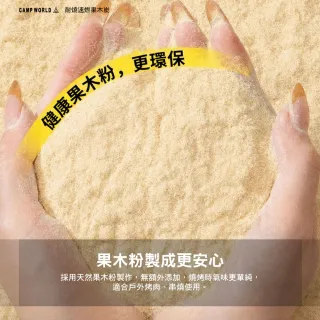 【逐露天下】耐燒速燃果木炭 1盒10包100顆 露營木炭 烤肉燃料 速燃起火 低煙少味 逐露天下