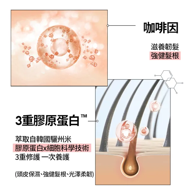 【RYO 呂】官方直營 全方位頭皮養護潤髮乳 480ml(染燙受損/豐盈蓬鬆)