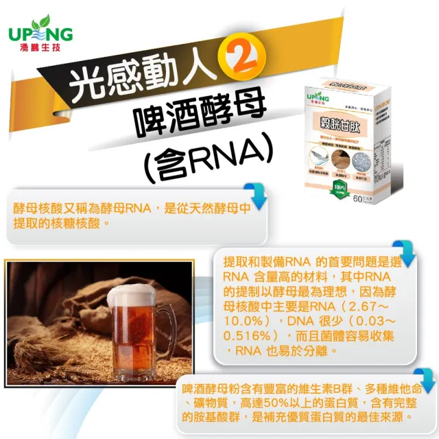 【湧鵬生技】穀胱甘肽6入組(穀胱甘肽:蠶絲蛋白:每盒60顆;共360顆)