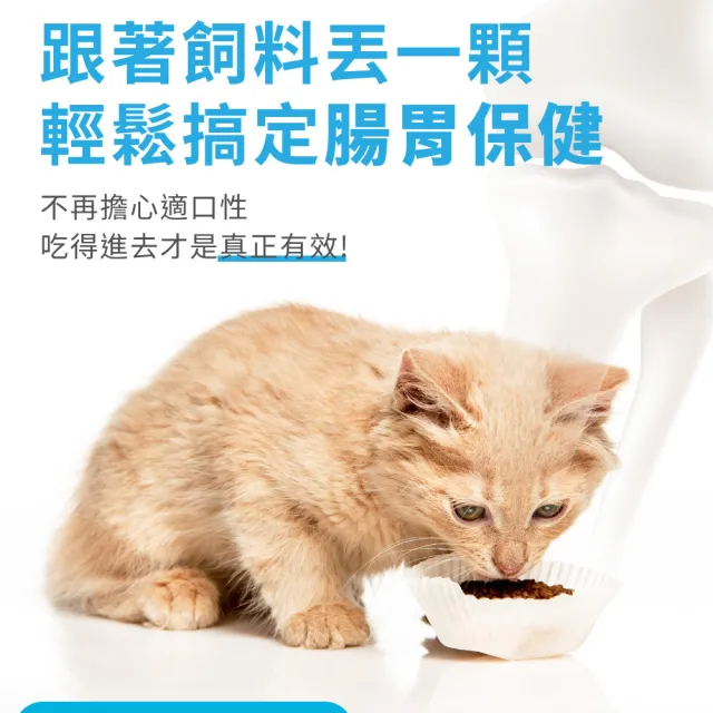 【OurPet 奧沛】貓用腸沛錠x2瓶(30顆、貓腸胃保健食品 寵物腸胃保養 益生菌 菊苣纖維 植物酵素 蘑菇)