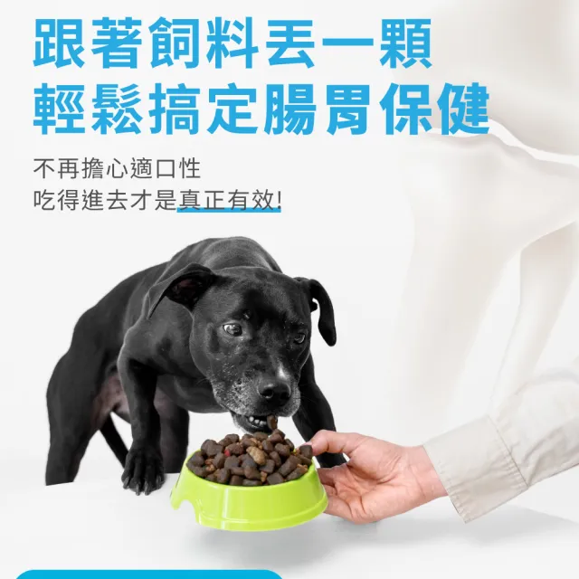 【OurPet 奧沛】犬用腸沛錠x5瓶(30顆、狗腸胃保健食品 寵物腸胃保養 益生菌 菊苣纖維 植物酵素 蘑菇)