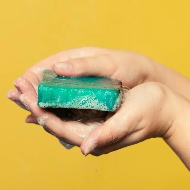 【LUSH 嵐舒】海洋之星香氛皂 100g(薰衣草/海藻/花香/肥皂/沐浴)