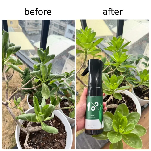 【1%植物關鍵】1%植物保養噴霧300ml(肥料營養劑 盆栽觀葉多肉 養葉施肥 室內居家種植照護組 葉面保養)