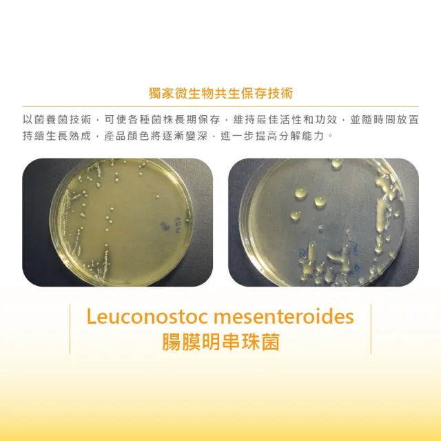 【AZOOPLUS 普樂思】[迅速處理排泄物除臭物質] 超級硝化活菌冠軍ll 1000ml