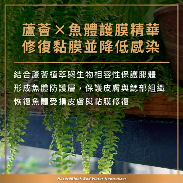 【AZOOPLUS 普樂思】[專為處理惡劣水質與高風險操作] 惡水剋星水穩護膜液 250ml