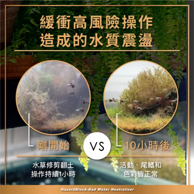 【AZOOPLUS 普樂思】[專為處理惡劣水質與高風險操作] 惡水剋星水穩護膜液 500ml
