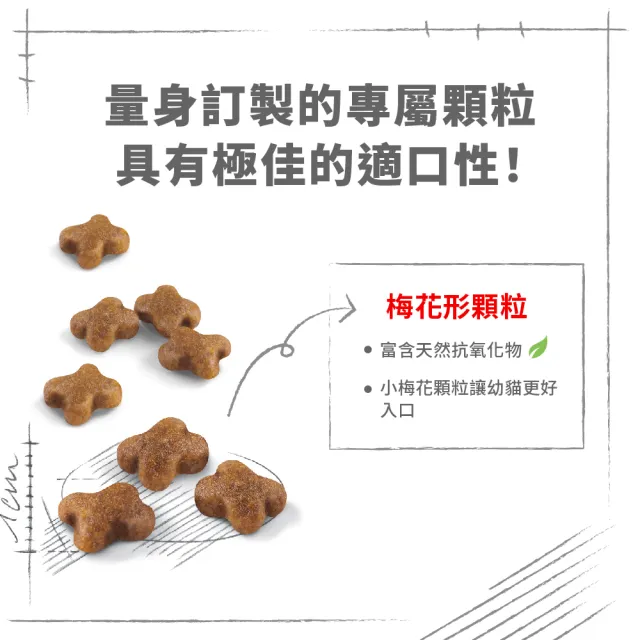 【ROYAL 法國皇家】幼貓專用飼料 K36 10KG(貓乾糧 貓飼料)