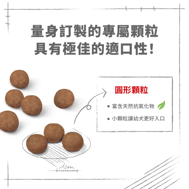 【ROYAL 法國皇家】中型幼犬專用飼料 MP 15KG(狗乾糧 狗飼料)