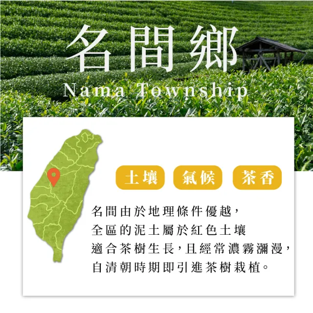 【茶好玩】松柏嶺金萱茶香奶韻高山茶葉150gX4包(共1斤;無焙火;附提袋)