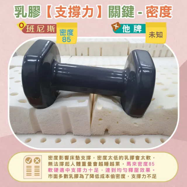 【班尼斯】雙人10cm 頂級馬來天然乳膠床墊 5x6.2尺(高密度85高純度95 百萬保證馬來製/50年大廠）