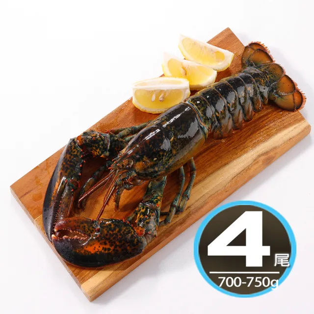 【華得水產】高壓特大波士頓龍蝦4尾(700-750g/尾 春節照常出貨)