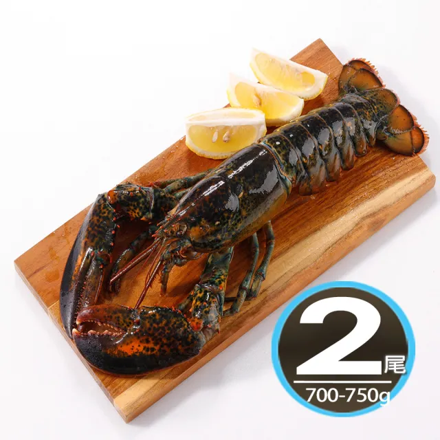【華得水產】活凍特大波士頓龍蝦2尾(700-750g/尾 春節照常出貨)